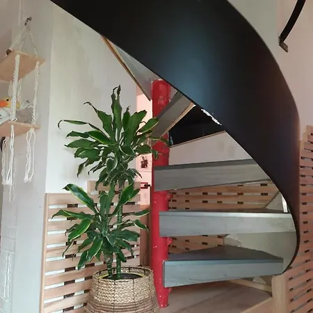 Casa Di Sole 公寓 蒙蒂菲阿斯科尼
